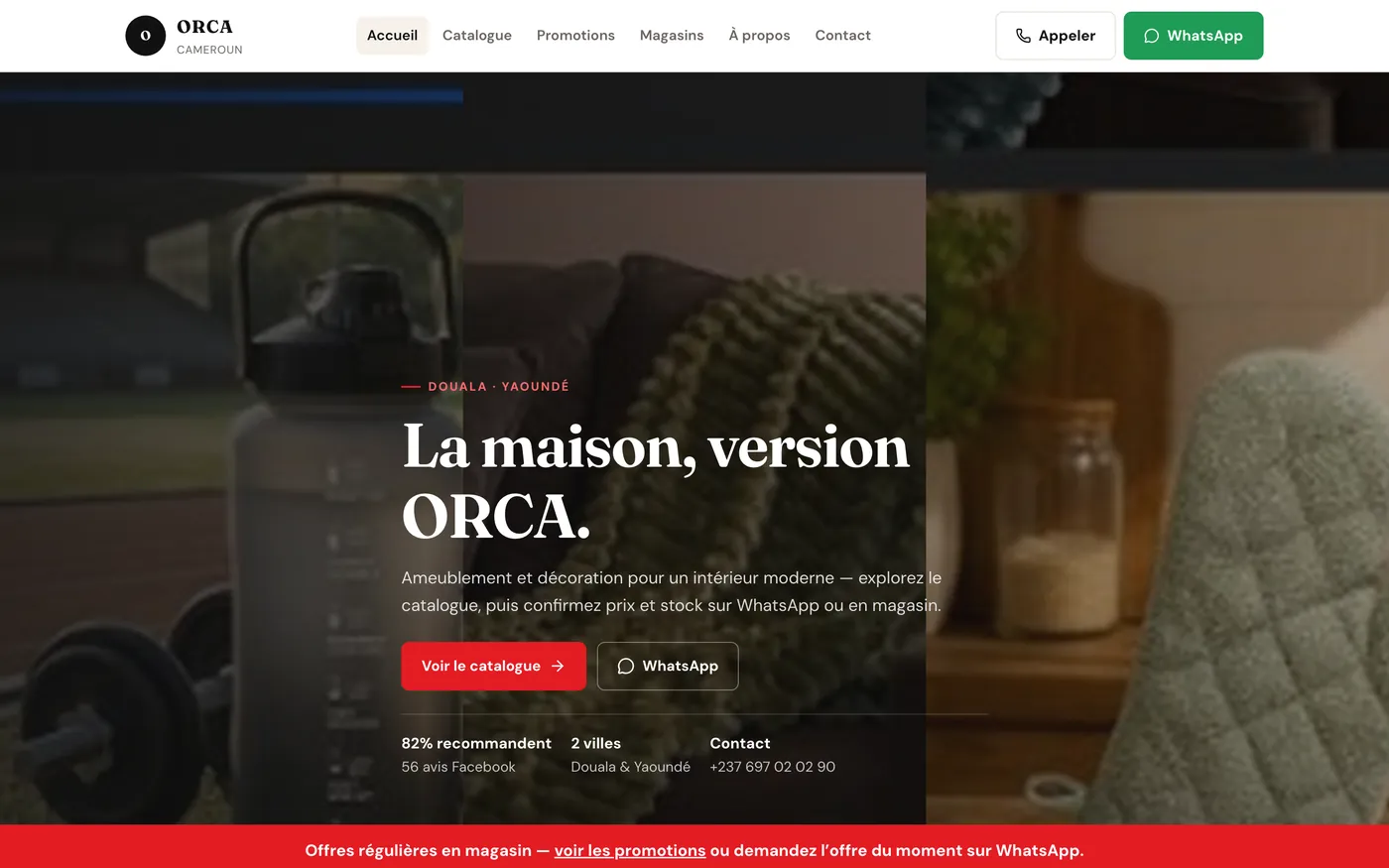 ORCA Cameroun — website concept